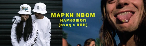 шишки Алзамай