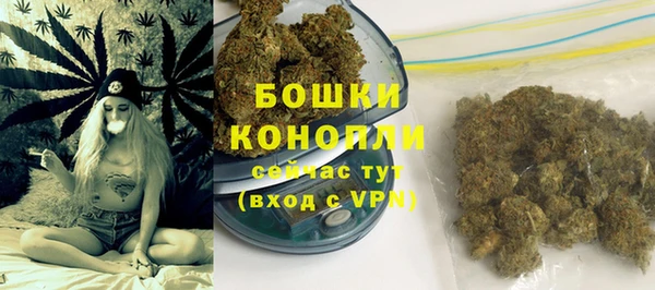 дмт Сатка