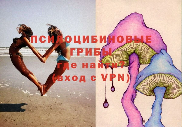 мяу мяу мука Алексин