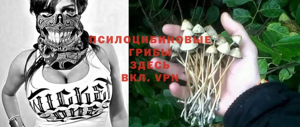 шишки Алзамай