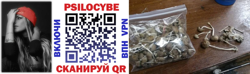 Галлюциногенные грибы Cubensis  Курганинск 