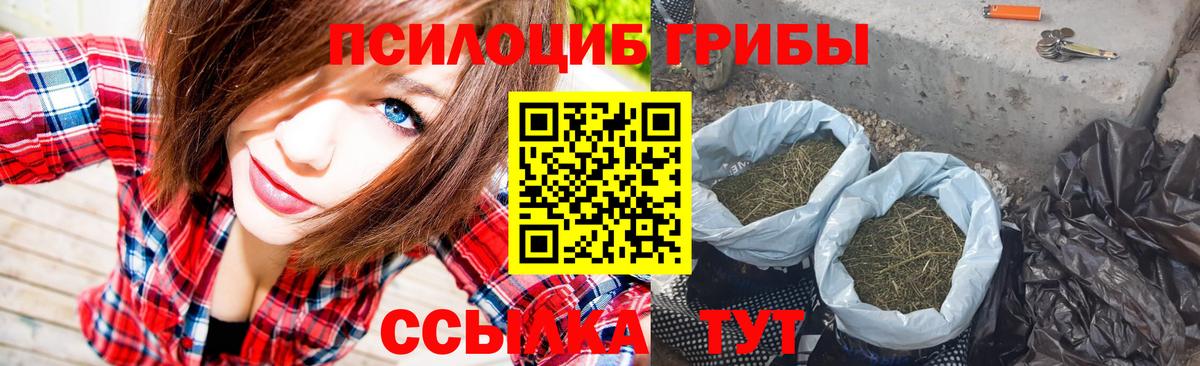 Курганинск  Псилоцибиновые грибы GOLDEN TEACHER  Вход с VPN 